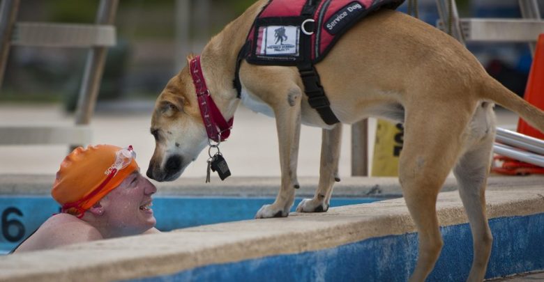 Can Service Dogs Help With Anxiety